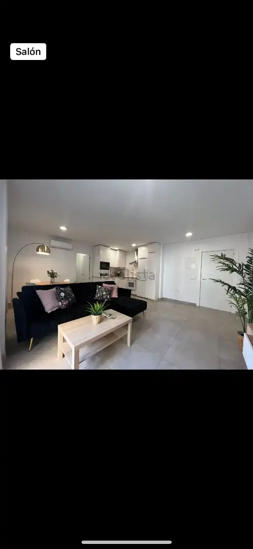 Living room of Flat for rent in Málaga  with Air Conditioner, Terrace and Furnished