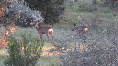 Foto 4 de Residencial en venda a Ledesma, Salamanca