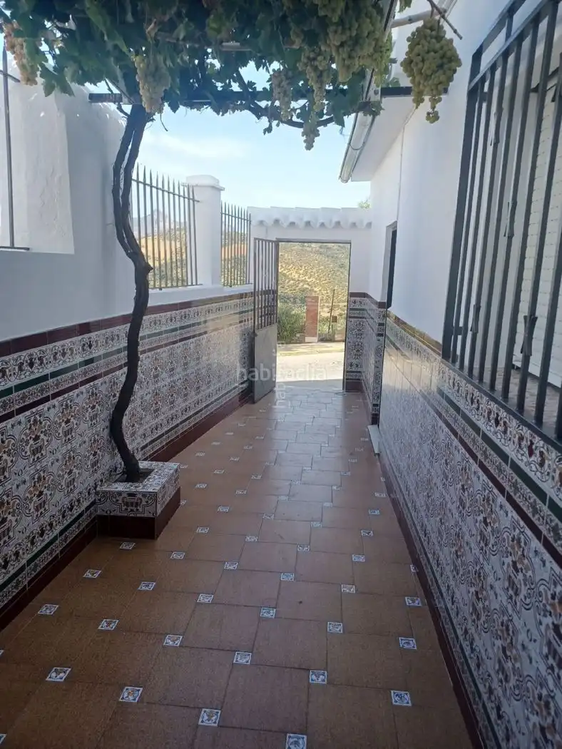 House to rent in Calle Calvario 58, imagen 23