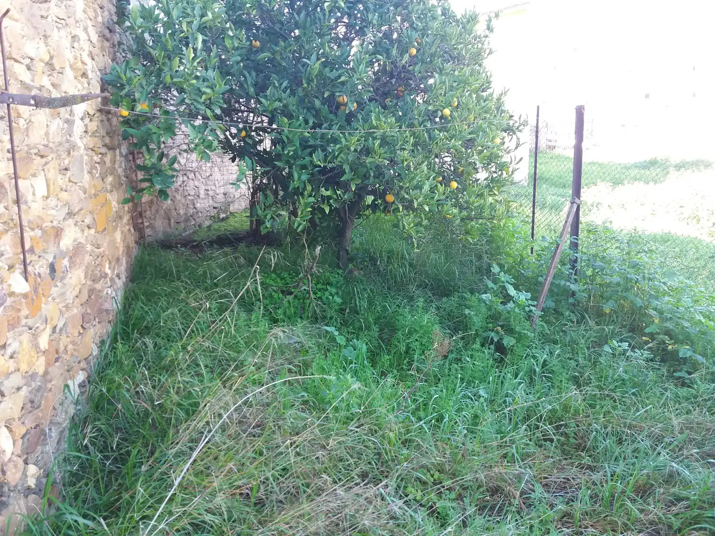 Maison à vendre à Aliseda, imagen 13