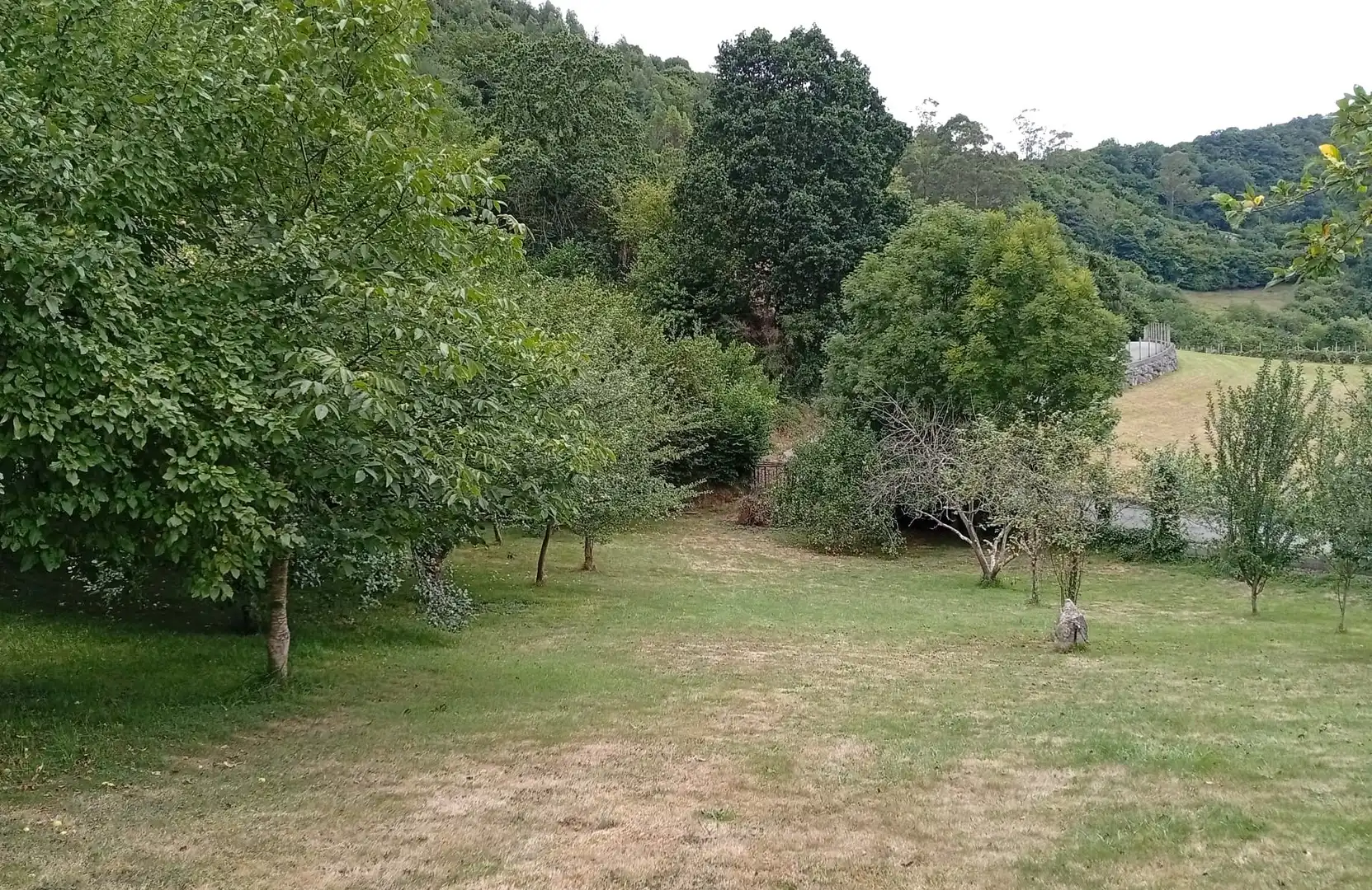 Terreny rústic en venda a Camín de la Xía 686, imagen 21