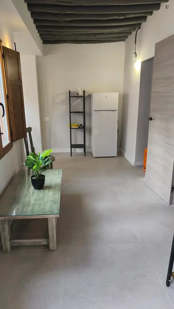 Wohnungen zur Miete in Barrio de Albaicín