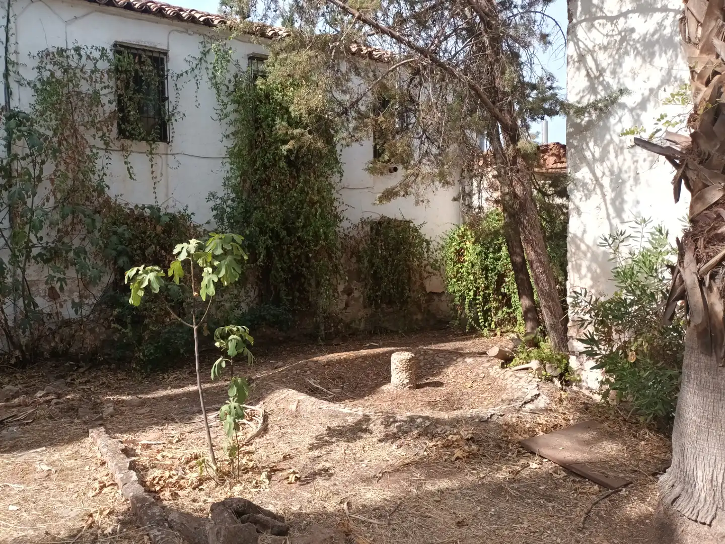 Garden of Land for sale in Arquillos