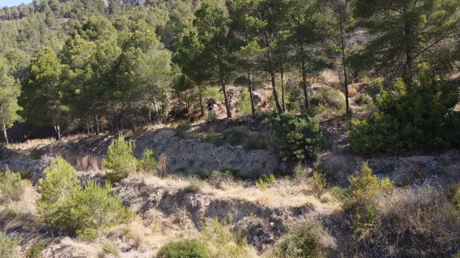 Terrenys i solars en venda a Callosa d'en Sarrià, imagen 13