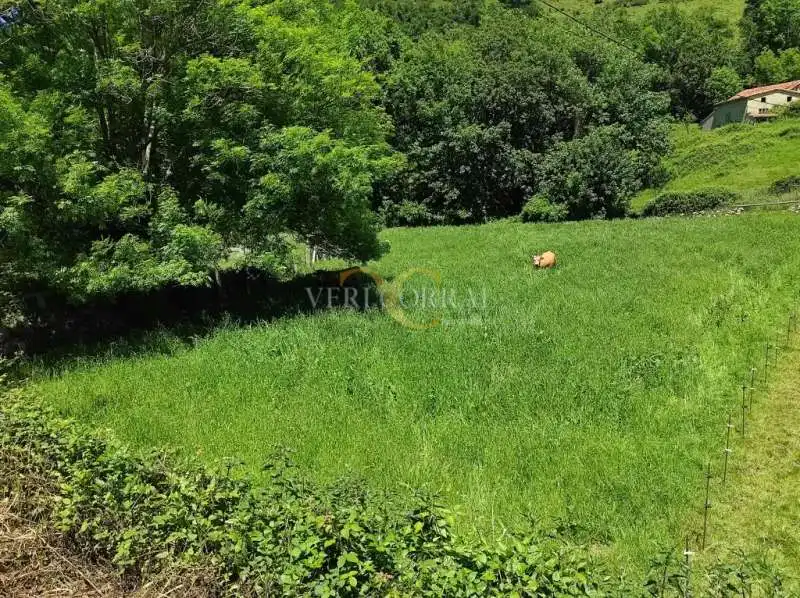 Terreno residencial en venta en Collía, imagen 2