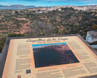 Exterior view of House or chalet for sale in Cogollos de la Vega  with Terrace, Storage room and Balcony