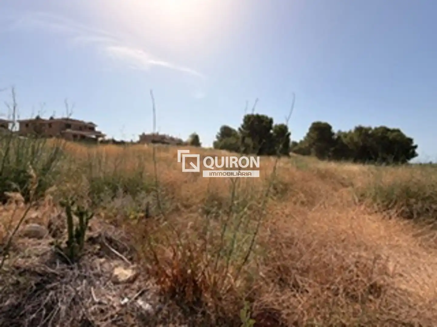 Terreno rústico en venta en Santa Oliva, imagen 4