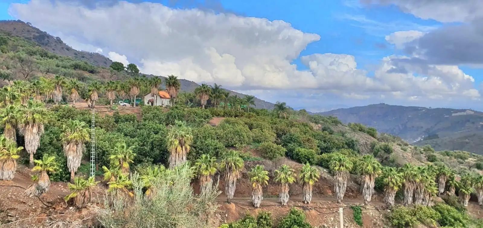 Vista exterior de Casa o xalet en venda en Guaro amb Aire condicionat, Jardí privat i Moblat