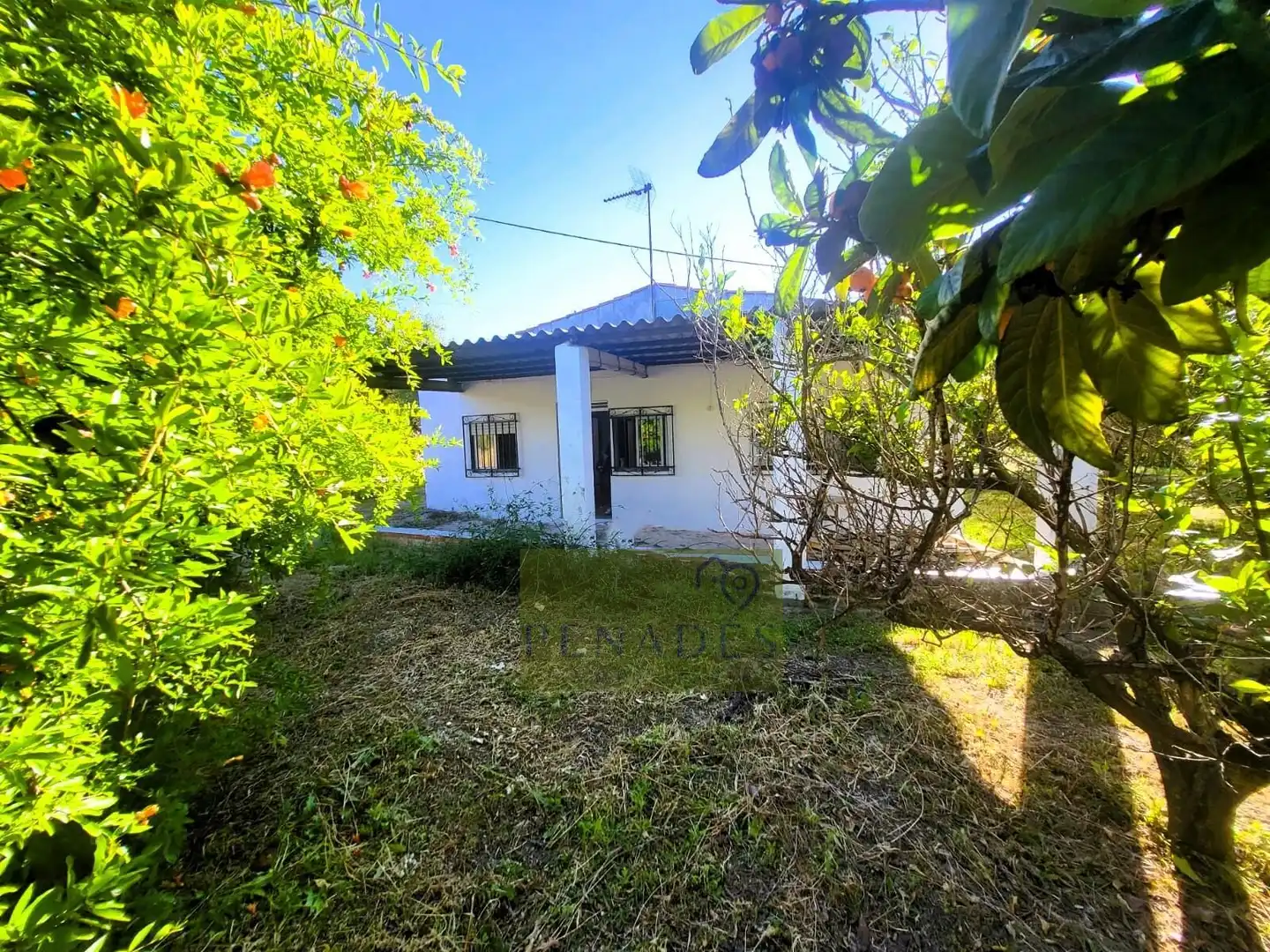 Vista exterior de Casa o chalet en venta en Ontinyent con Jardín privado