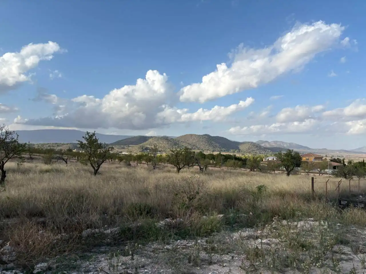 Casa o xalet en venda en Monóvar  / Monòver