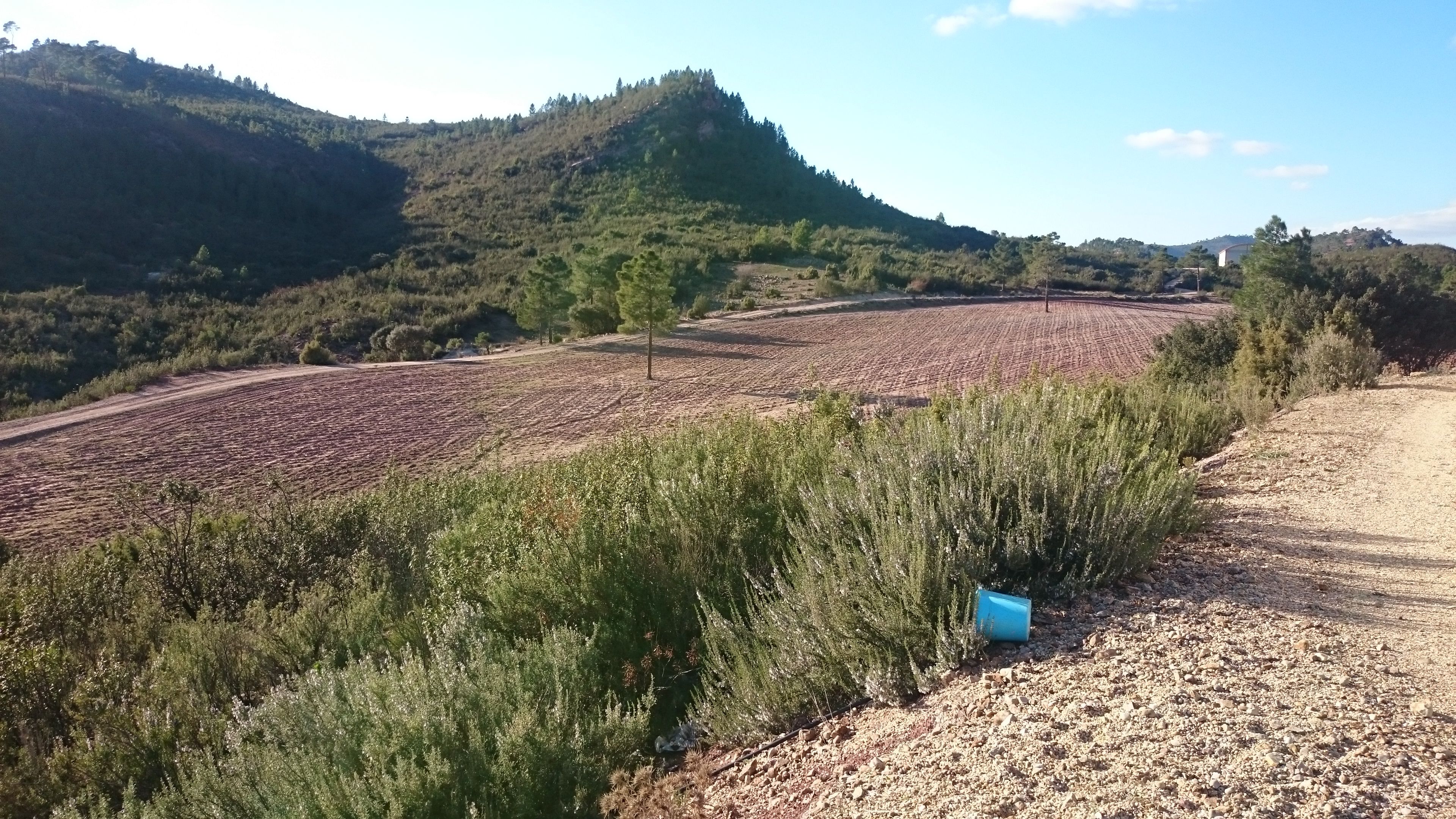 Land for sale in Cuenca Capital