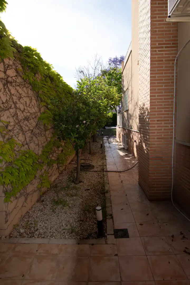 Jardín de Casa o chalet de alquiler en Murcia con Aire acondicionado, Calefacción y Jardín privado