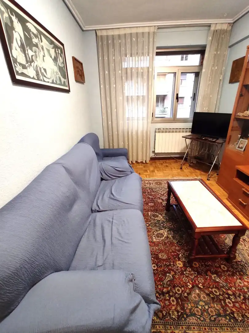Sala d'estar de Pis de lloguer en Vitoria - Gasteiz amb Calefacció, Parquet i Terrassa