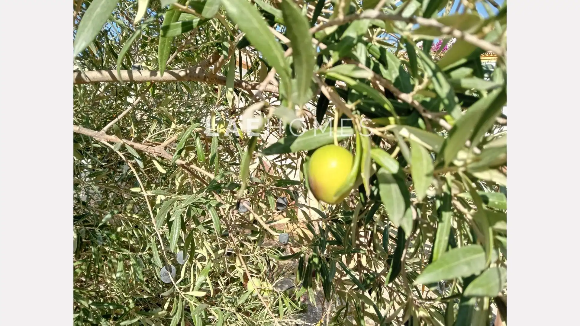 Terreni e lotti in vendita a Campanillas, imagen 29