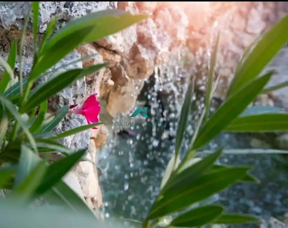 Jardí de Casa o xalet en venda en Los Villares amb Jardí privat, Terrassa i Piscina