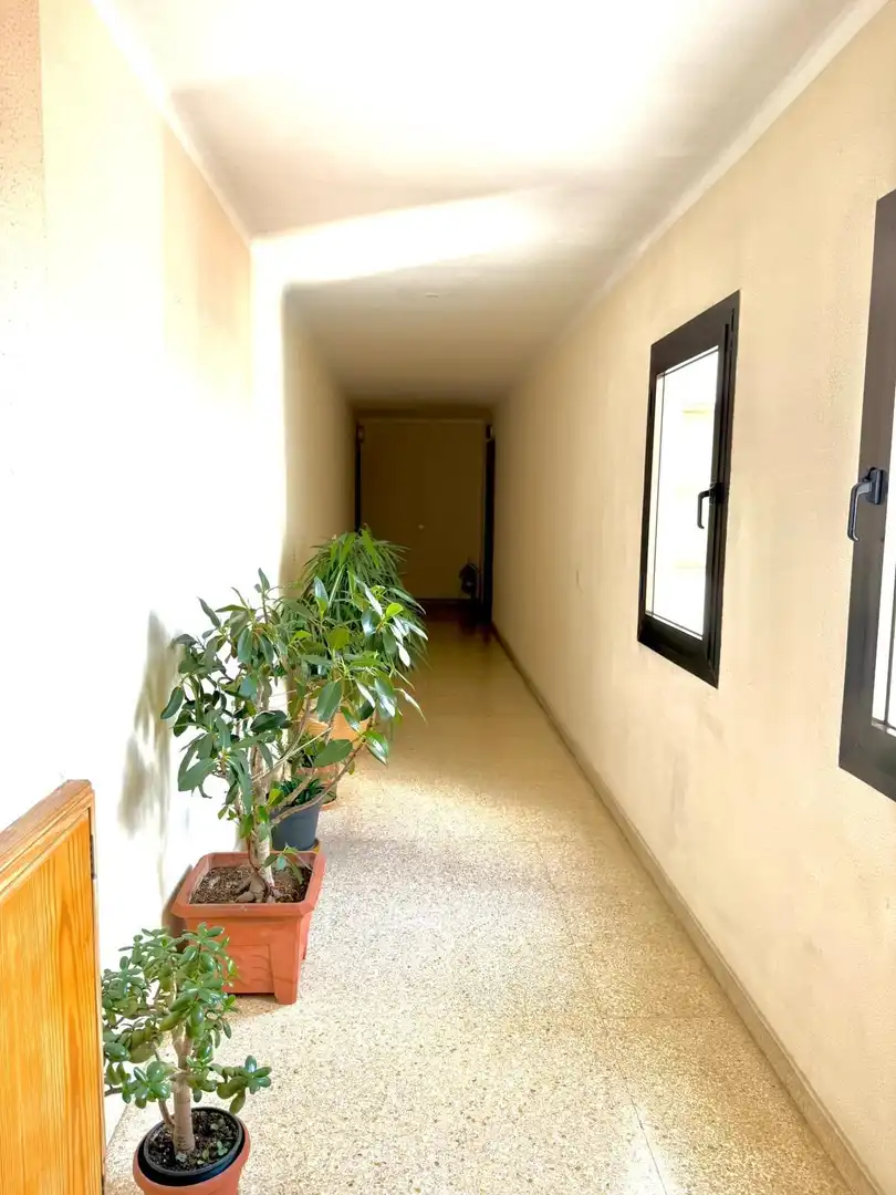 Wohnungen zum Verkauf in  Palma de Mallorca mit Terrasse und Balkon