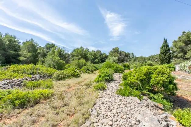 Residential land for sale in Centro ciudad, imagen 6