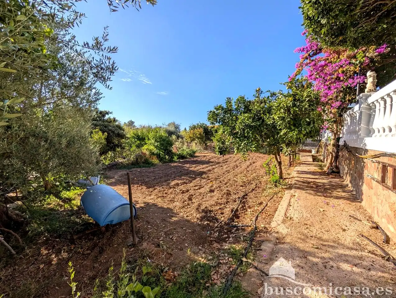Casa rústica amb piscina en venda a Diseminado Huertos San Roque, imagen 16