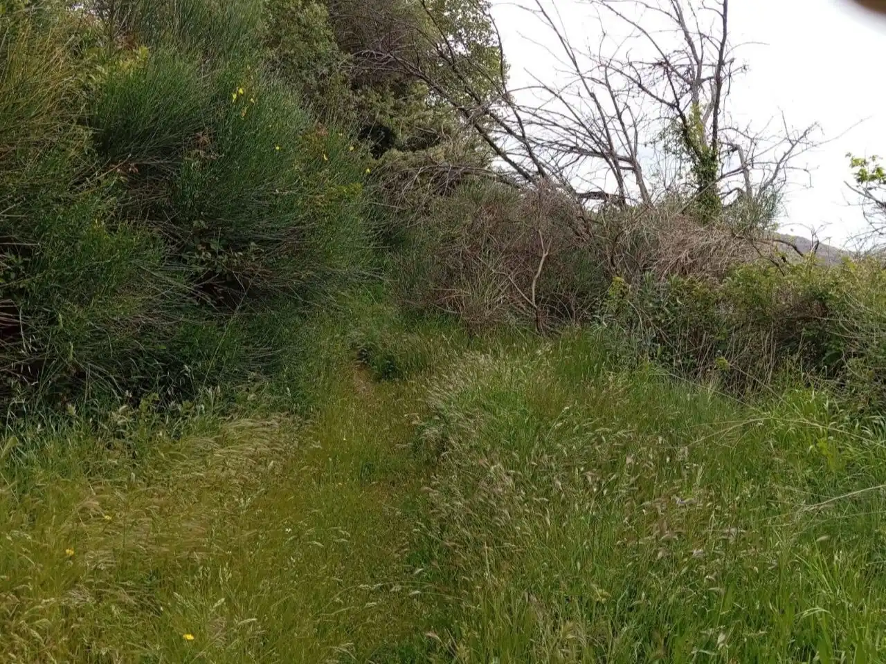 Terreno en venta en Pórtugos