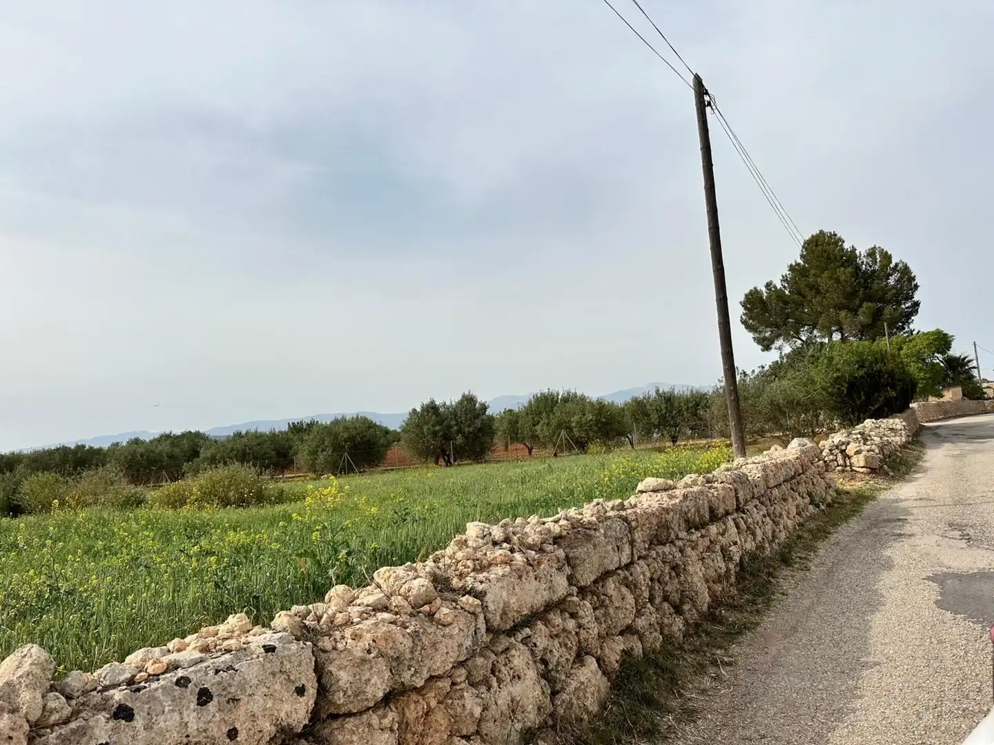 Country homes for sale in Algaida  with Private garden