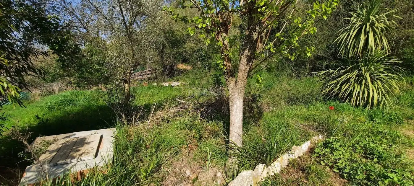 Terrain rustique à vendre à Carrer Martorell 115, imagen 4