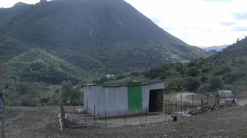 Photo 4 of Country house for sale in Benaocaz, Cádiz