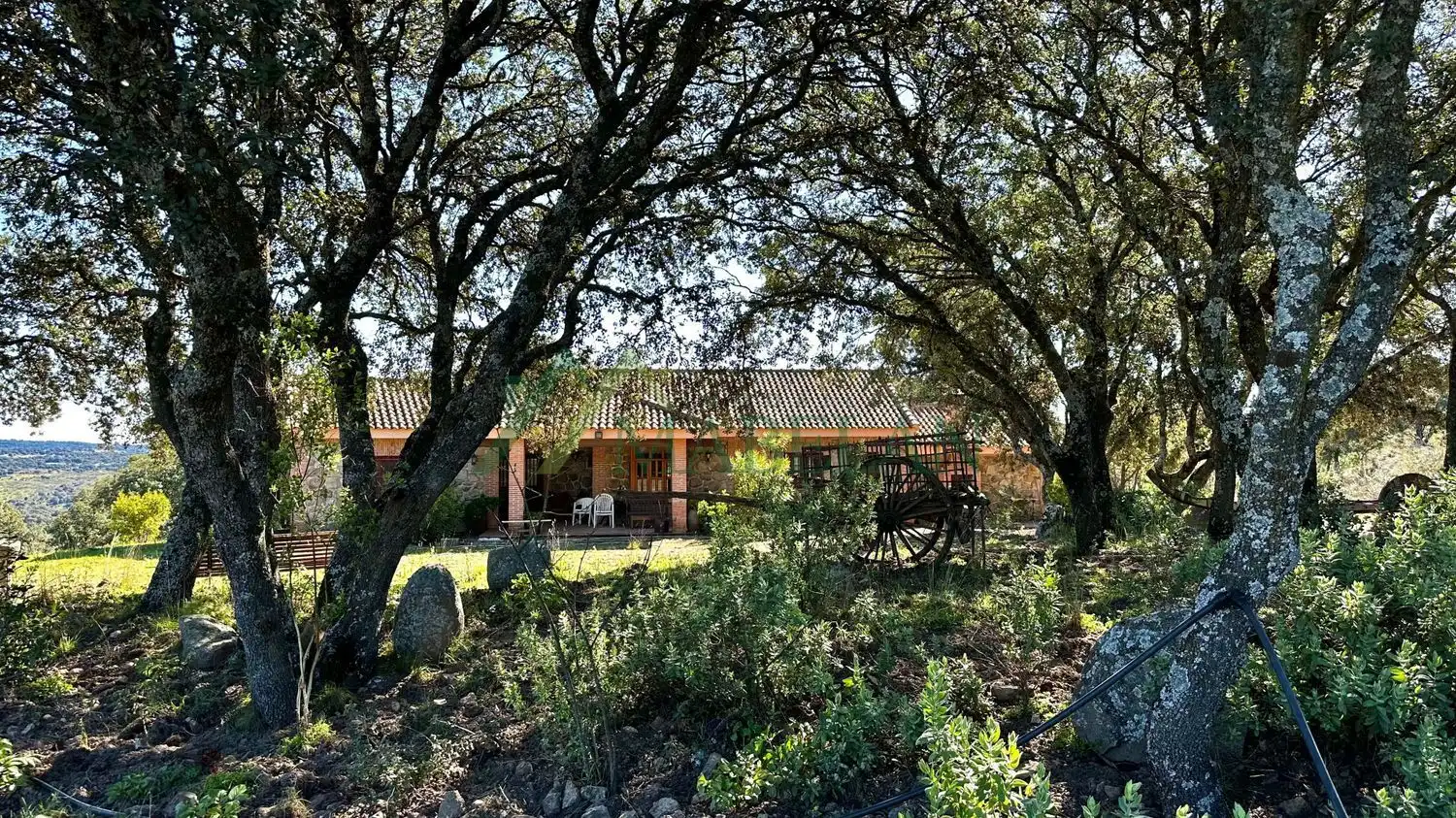 Casa en venta en Pino Alto - Navarredonda