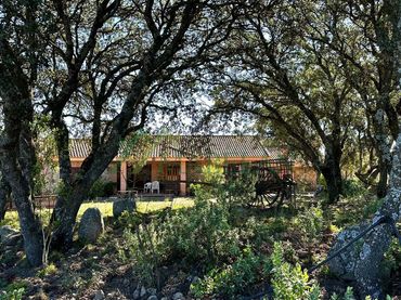 Maison à vendre à Pino Alto - Navarredonda