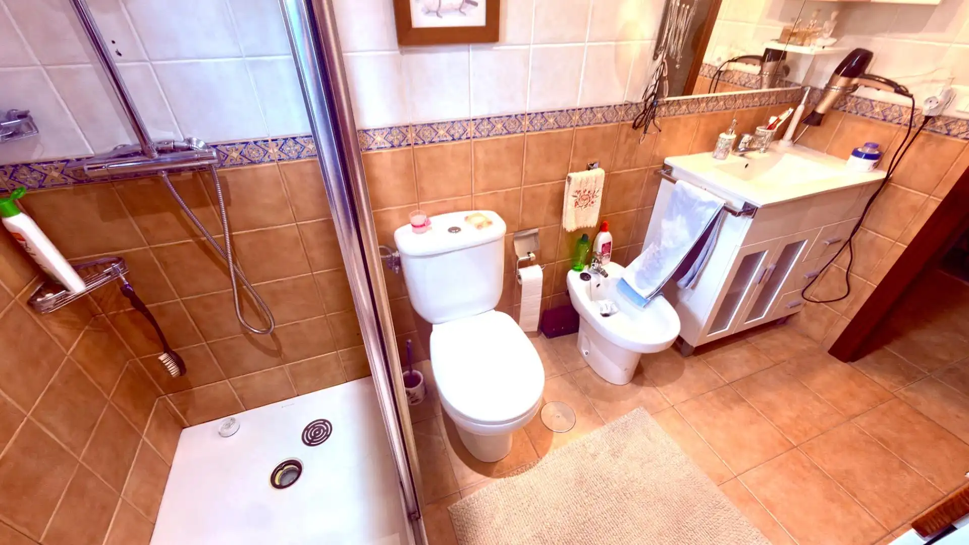 Bathroom of Houses for sale in Esgos  with Private garden, Parquet flooring and Furnished