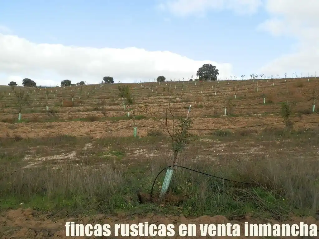 Terreni e lotti in vendita a Torrijos, imagen 16