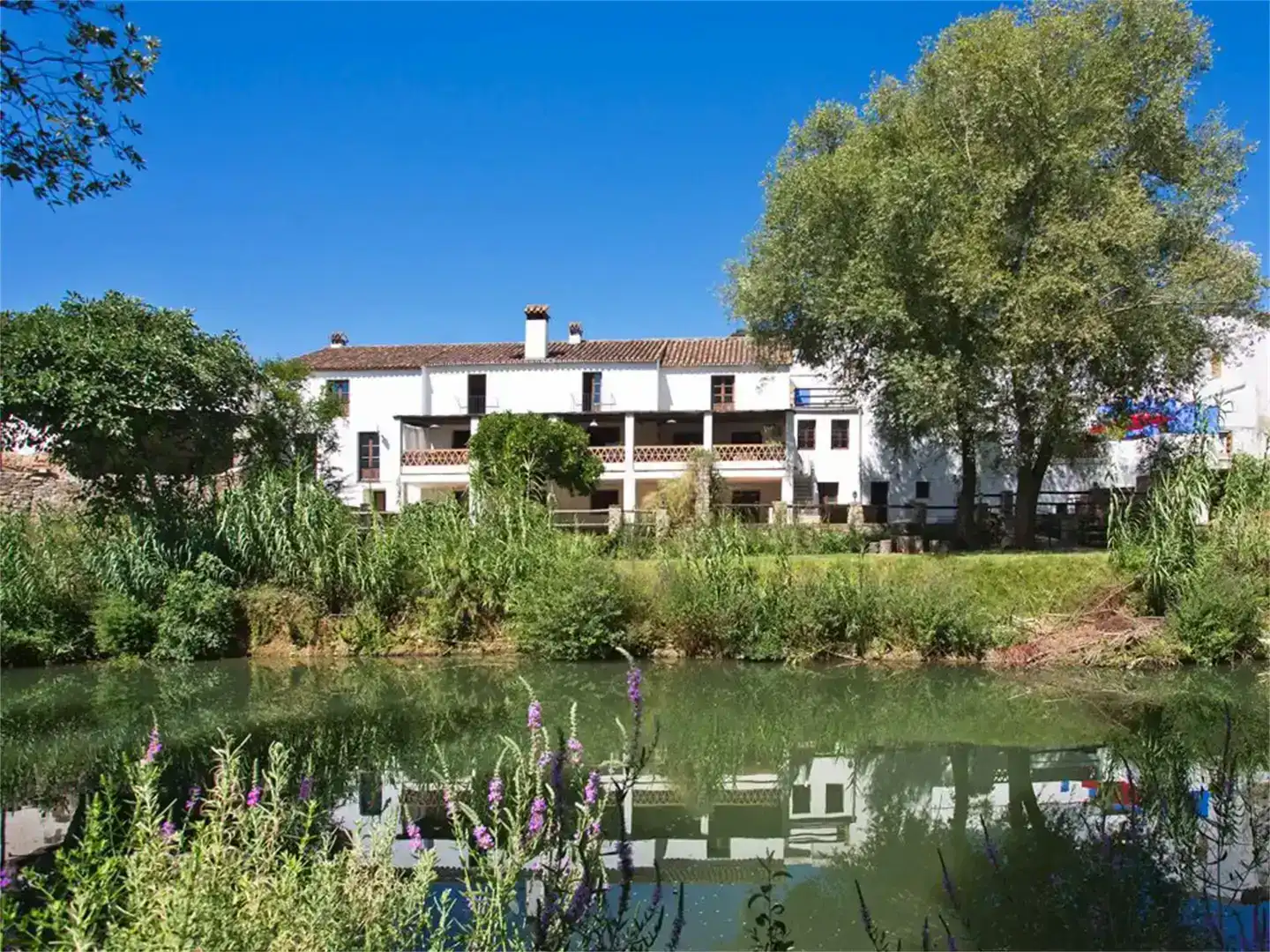 Vista exterior de Finca rústica en venda en Cortes de la Frontera, Málaga