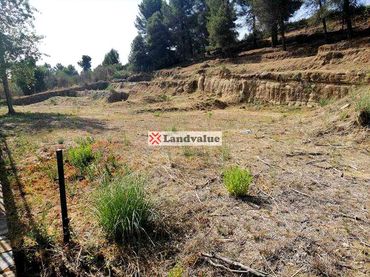 Terreni e lotti in vendita a Carrer Puig de Mira