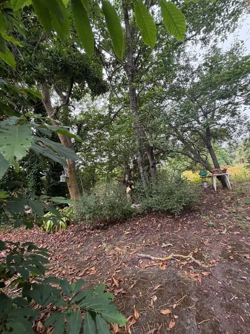 Terreno rustico in vendita a El Bebedero - Pinolere - Aguamansa, imagen 55