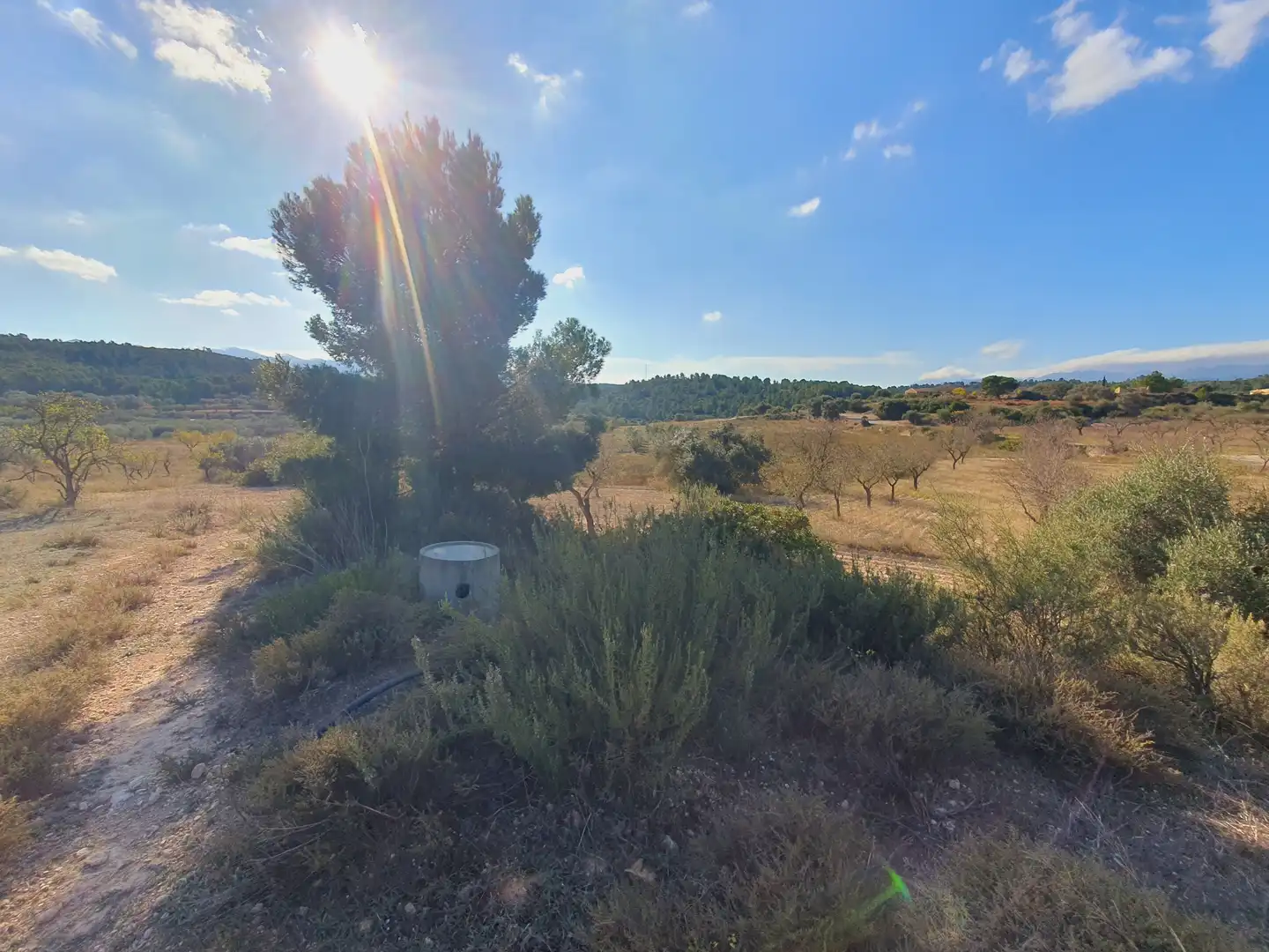 Maison à vendre à El Pinell de Brai, imagen 9