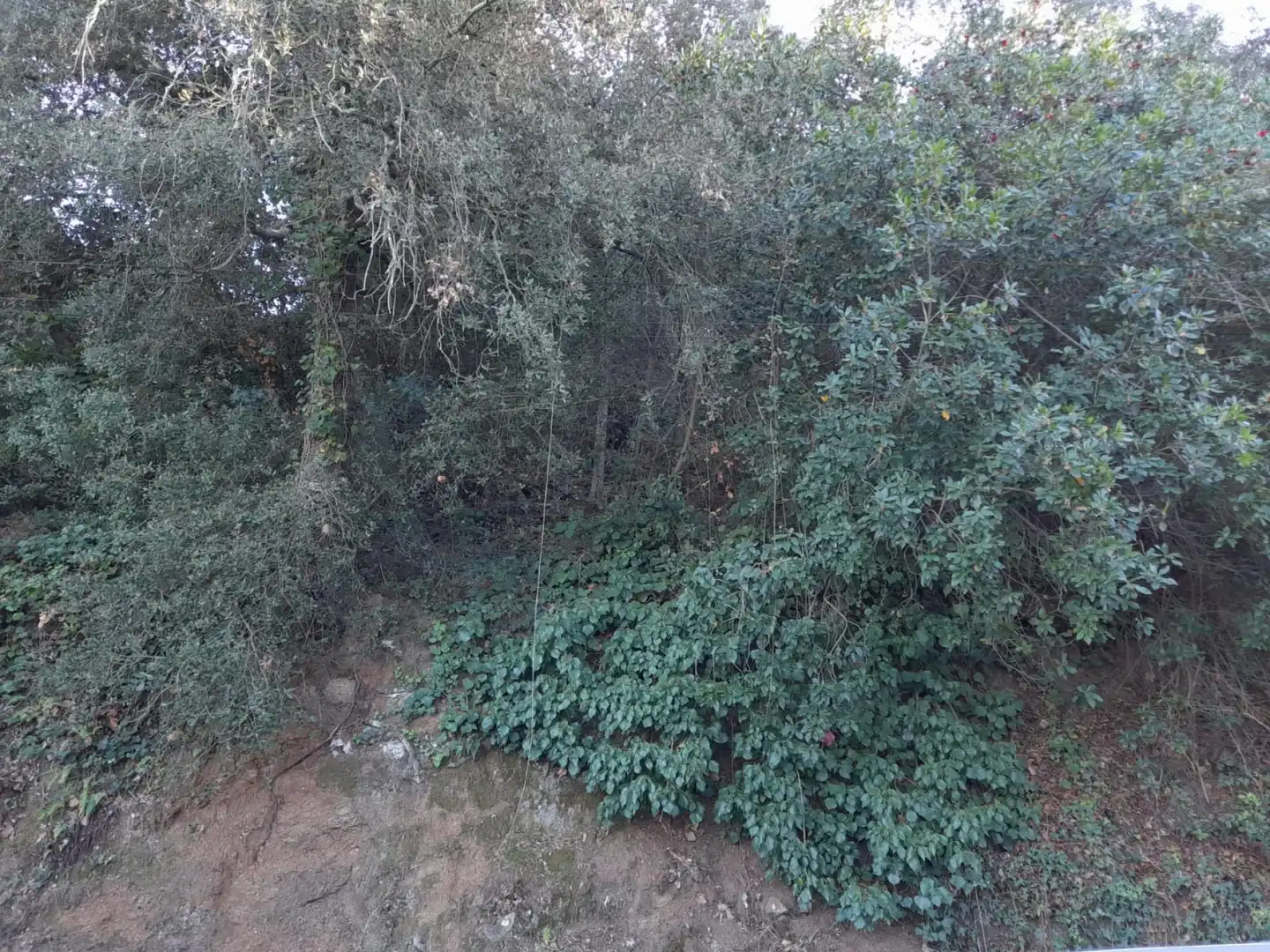 Terreny residencial en venda a Vallgorguina, imagen 3