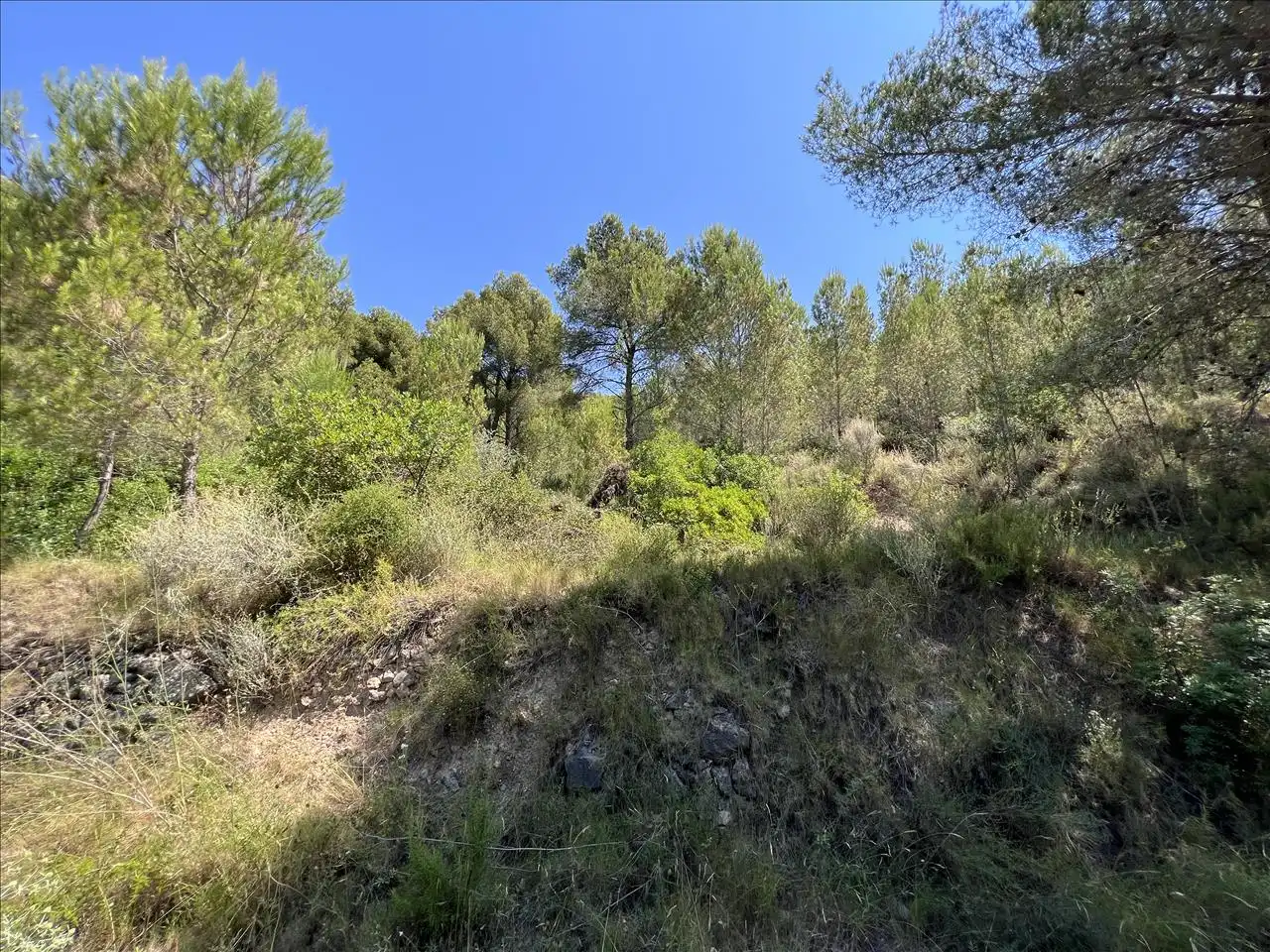 Residential land for sale in Proc. Simplificado, imagen 9