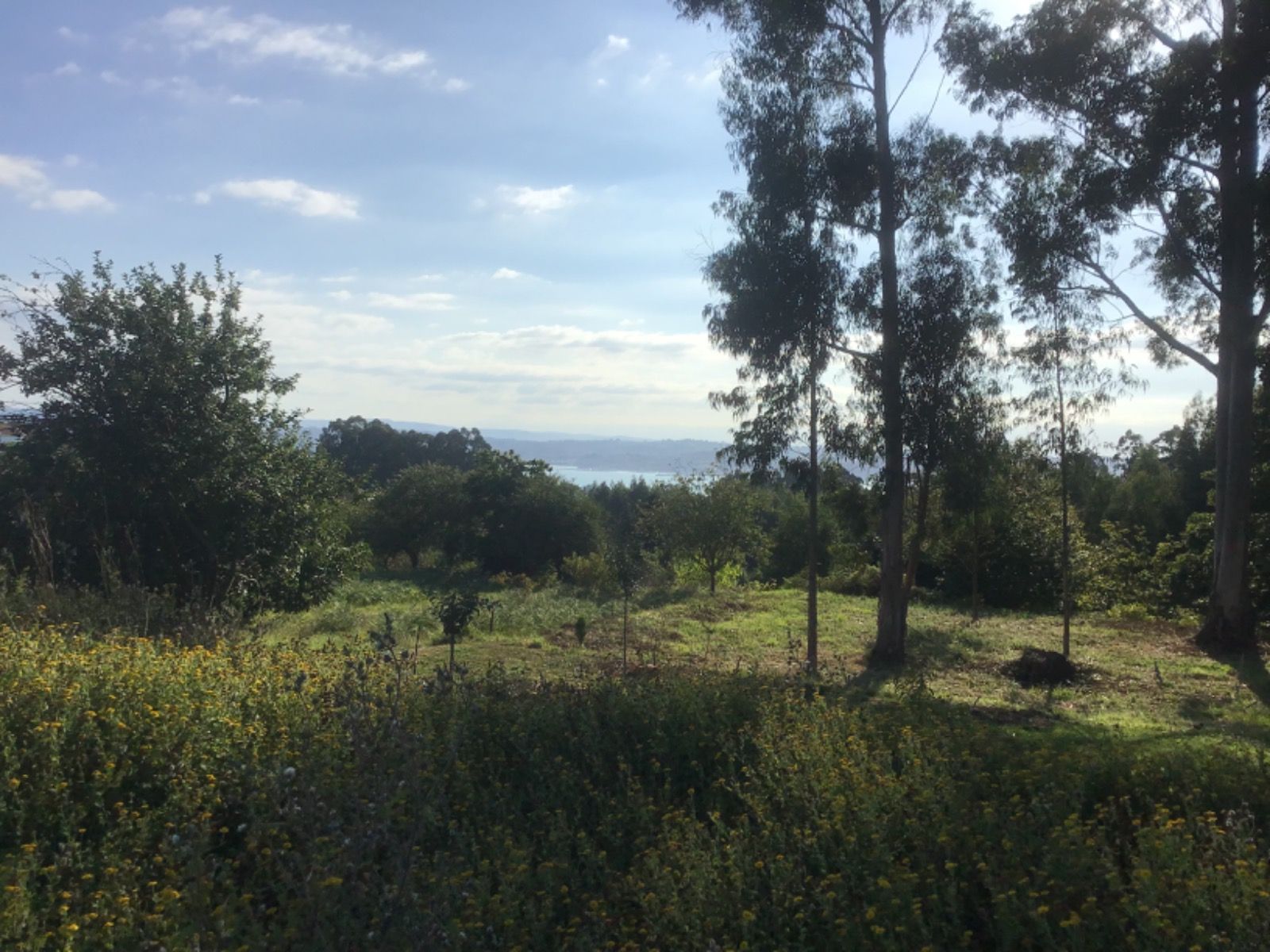 Residencial en venda en Miño