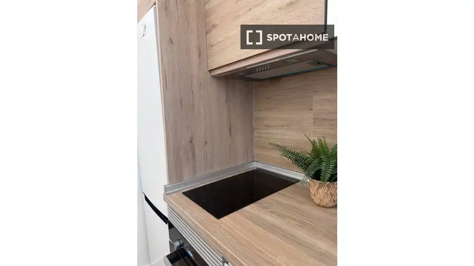 Kitchen of Flat for rent in Madrid  with Air Conditioner, Heating and Furnished
