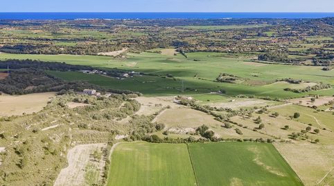 Parcela perfecta con proyecto para construir la casa de sus sueños en venta en Manacor, Mallorca, imatge 4