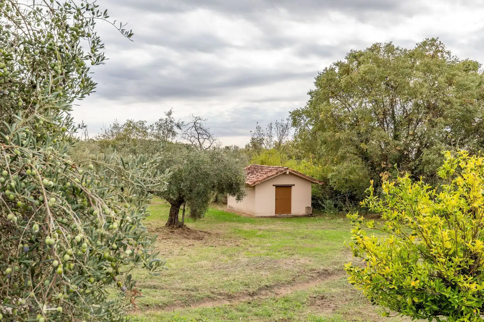 Terreni e lotti in vendita a Villanueva de la Vera, imagen 53
