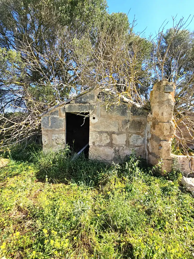 Exterior view of Land for sale in  Palma de Mallorca