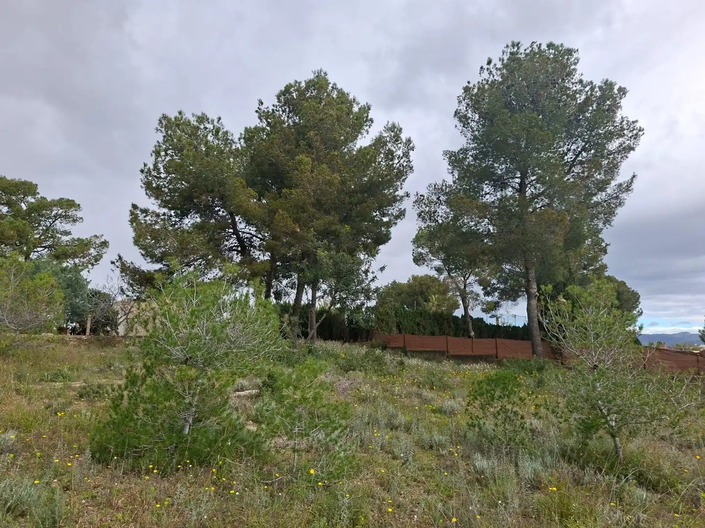 Terrain rustique à vendre à Camí de Paterna - Lloma del Calderer, imagen 5