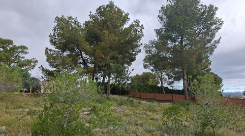 Foto 5 de Terreno en venta en Camí de Paterna - Lloma del Calderer, Bétera