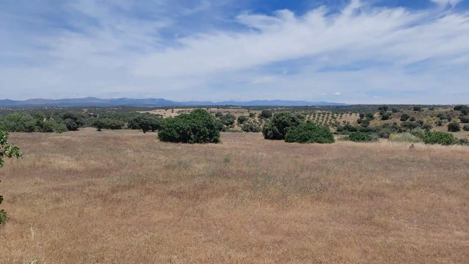 Rural land for sale in Villamanta, imagen 3