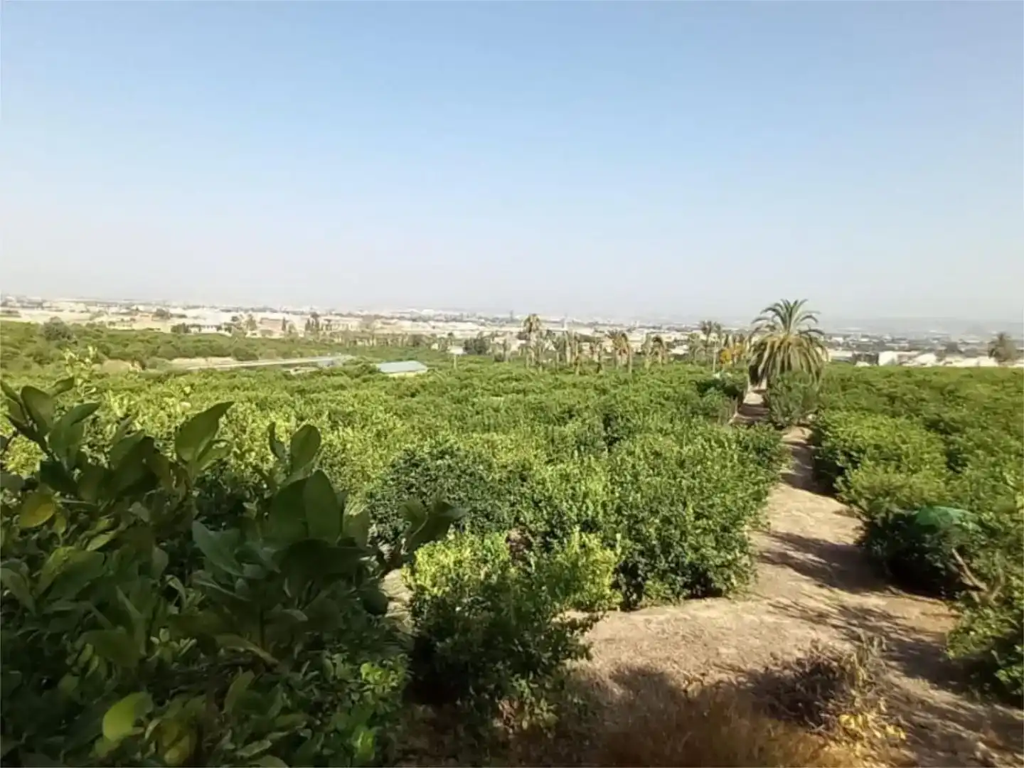 Finca rústica en venda en  Murcia Capital amb Aire condicionat