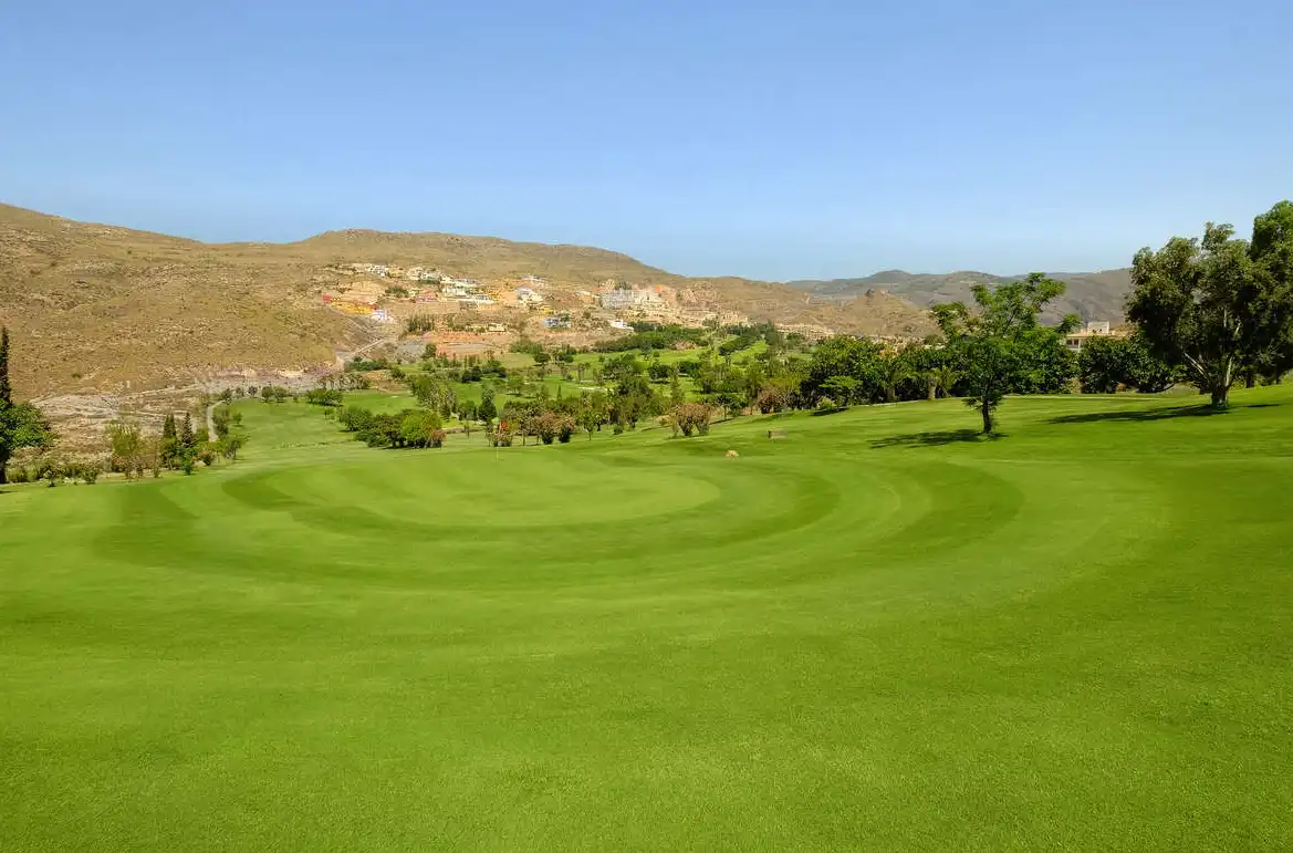 Terreno residencial en venta en Calle los Olivos, imagen 5