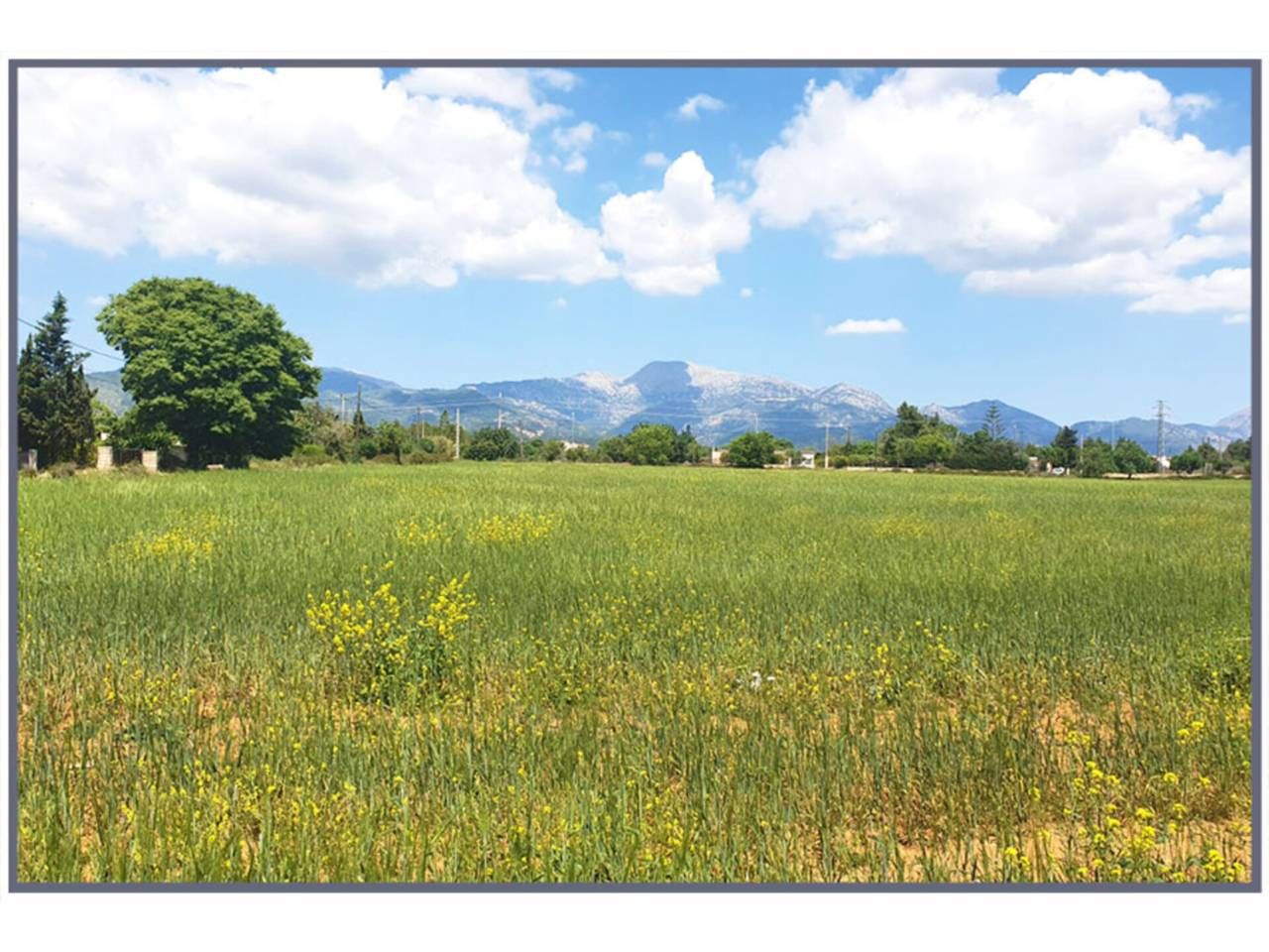 Residential for sale in Inca