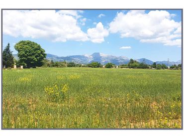 Terrain résidentiel à vendre à Poligono 1 Sn