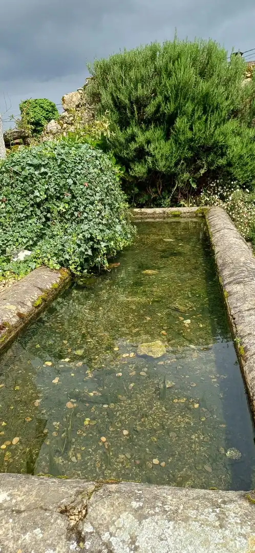 Swimming pool of Houses for sale in Nava  with Swimming Pool