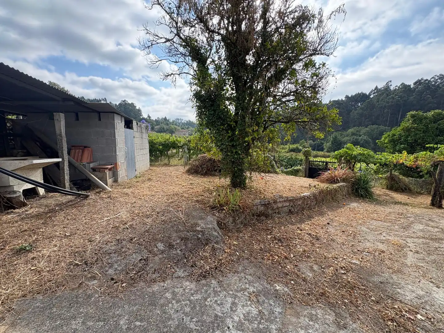 Houses for sale in Arbo  with Furnished